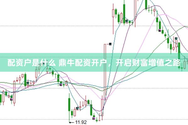 配资户是什么 鼎牛配资开户，开启财富增值之路