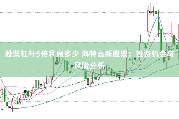 股票杠杆5倍利息多少 海特高新股票：投资机会与风险分析