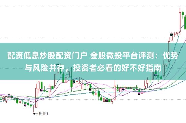配资低息炒股配资门户 金股微投平台评测：优势与风险并存，投资者必看的好不好指南