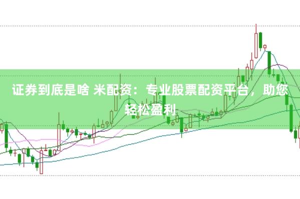 证券到底是啥 米配资：专业股票配资平台，助您轻松盈利