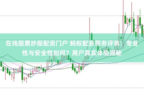 在线股票炒股配资门户 蚂蚁配资服务评测：专业性与安全性如何？用户真实体验揭秘