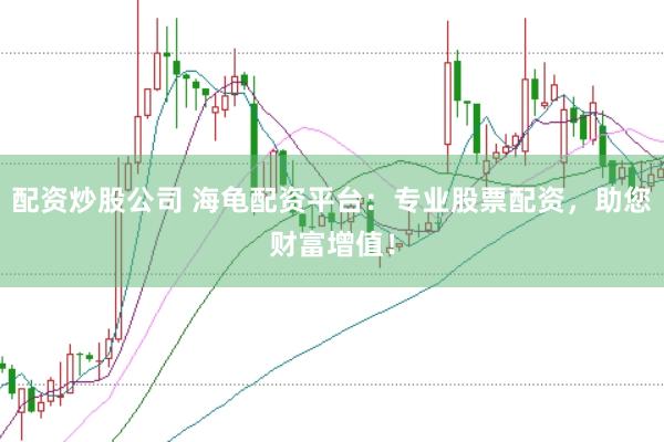 配资炒股公司 海龟配资平台：专业股票配资，助您财富增值！