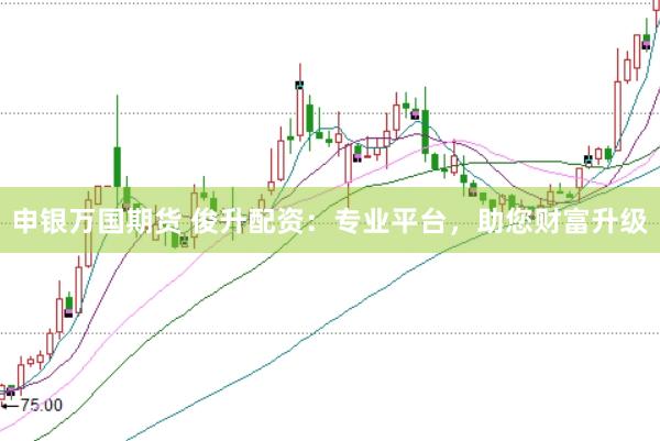 申银万国期货 俊升配资：专业平台，助您财富升级