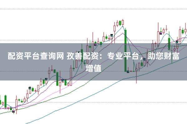 配资平台查询网 孜善配资:专业平台,助您财富增值