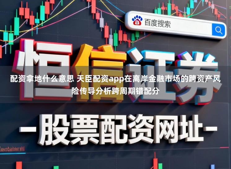 配资拿地什么意思 天臣配资app在离岸金融市场的跨资产风险传导分析跨周期错配分